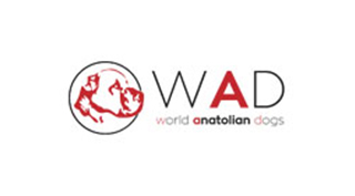 Wad Turkey logosu