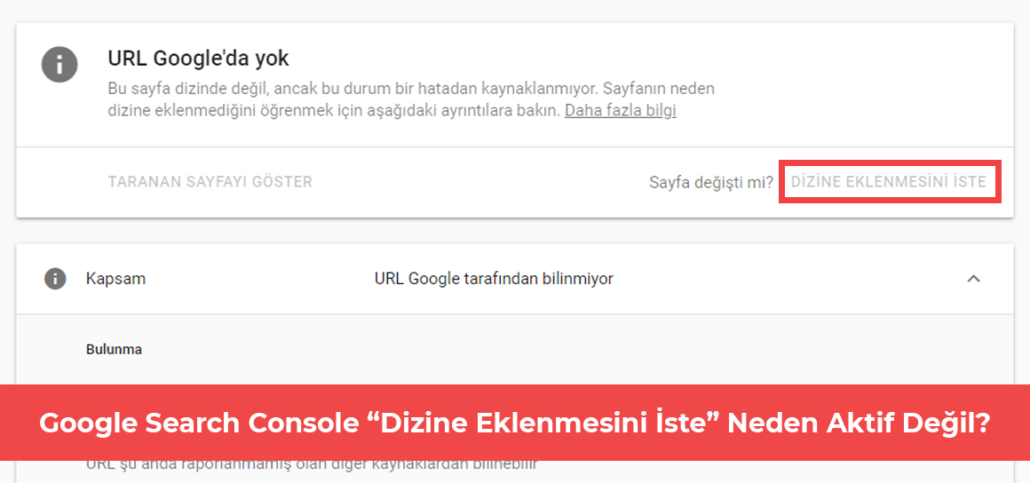 Google Search Console Dizine Eklenmesini İste Butonu neden aktif değil?